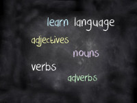 Language Learrning